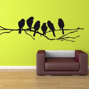 Uccelli sul ramo