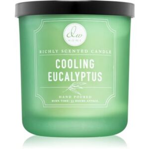 DW Home Cooling Eucalyptus candela profumata 269,32 g