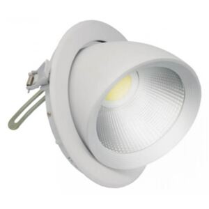 Faro LED Orientabile da Incasso 30W - foro ø205mm - Professional Colore Bianco Naturale 4.000-4.500K