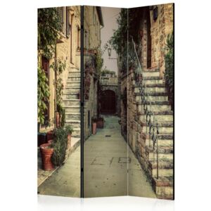 Paravento - tuscan memories [room dividers]