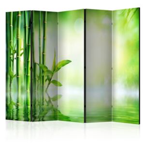 Paravento - green bamboo ii [room dividers]