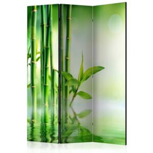 Paravento - green bamboo [room dividers]