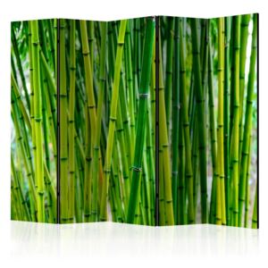 Paravento - Bamboo Forest II [Room Dividers]