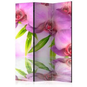 Paravento - orchid spa [room dividers]
