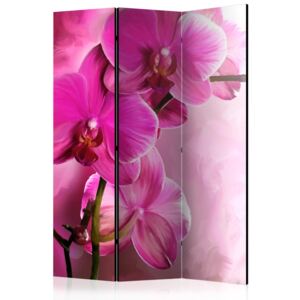 Paravento - pink orchid [room dividers]