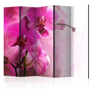 Paravento - Pink Orchid II [Room Dividers]