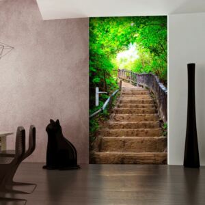 Fotomurale per porta - photo wallpaper – stairs from nature i