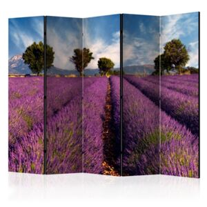 Paravento - lavender field in provence, france ii [room dividers]