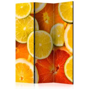 Paravento - Citrus fruits [Room Dividers]