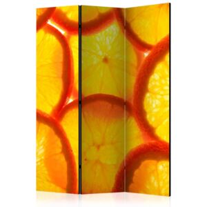 Paravento - Orange slices [Room Dividers]