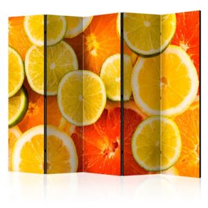 Paravento - citrus fruits ii [room dividers]