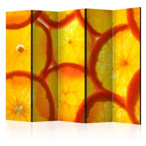 Paravento - orange slices ii [room dividers]
