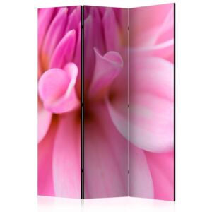 Paravento - flower petals - dahlia [room dividers]