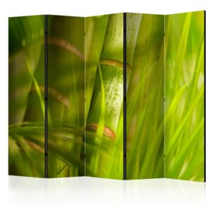 Paravento - bamboo - nature zen ii [room dividers]