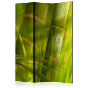 Paravento - bamboo - nature zen [room dividers]