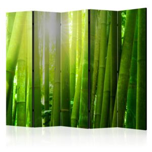 Paravento - Sun and bamboo II [Room Dividers]