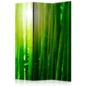 Paravento - Sun and bamboo [Room Dividers]