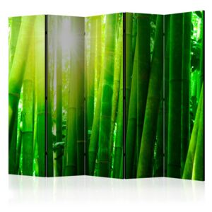 Paravento - sun and bamboo ii [room dividers]
