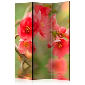 Paravento - azalea reflected in the water [room dividers]