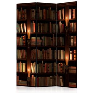 Paravento - bookshelves [room dividers]