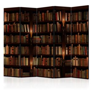 Paravento - Bookshelves II [Room Dividers]