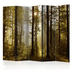 Paravento - forest: morning sunlight ii [room dividers]