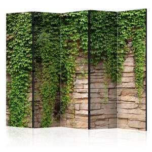 Paravento - Ivy wall II [Room Dividers]