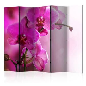 Paravento - Pink orchid II [Room Dividers]
