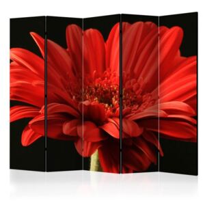 Paravento - red gerbera flower ii [room dividers]