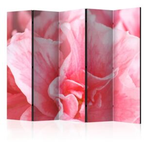 Paravento - pink azalea flowers ii [room dividers]