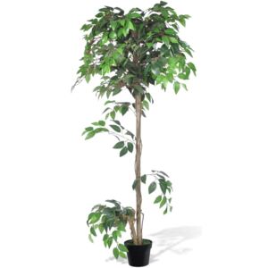 VidaXL Albero Ficus Artificiale con Vaso 160 cm