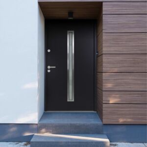 VidaXL Porta Ingresso in Alluminio Antracite 90x200 cm