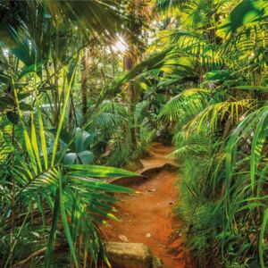 Komar Fotomurale Jungle Trail 368x254 cm