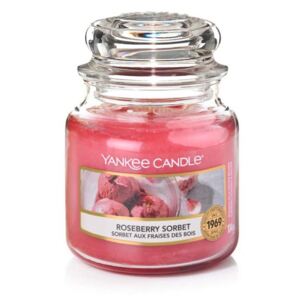 Yankee Candle rosa profumata candela Roseberry Sorbet Classic piccolo