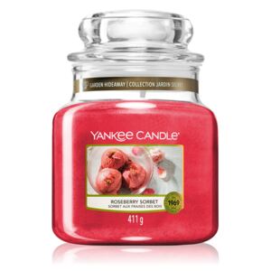Yankee Candle rosa profumata candela Roseberry Sorbet Classic medio