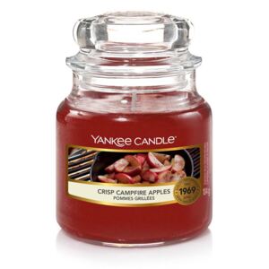 Yankee Candle profumata candela Classic piccolo