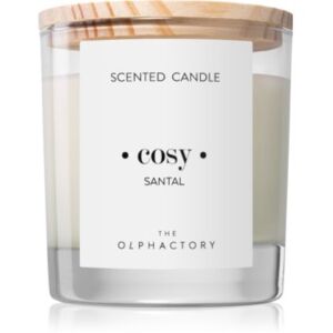 Ambientair Olphactory Santal candela profumata (Cosy) 200 g