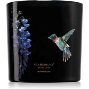 Vila Hermanos Jungletopia Hummingbird candela profumata 620 g