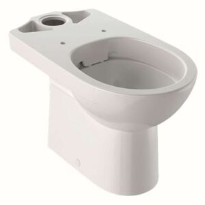 Geberit Selnova - WC monoblocco, scarico a parete, 680x360 mm, Rimfree, bianco 500.285.01.1