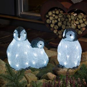 Famiglia di pinguini a LED in acrilico, set da 3