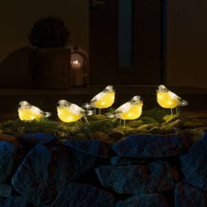 Figure luminose LED uccelli da esterni, set 5x