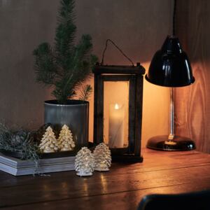 Lampada LED Cilja albero di vetro set 2x