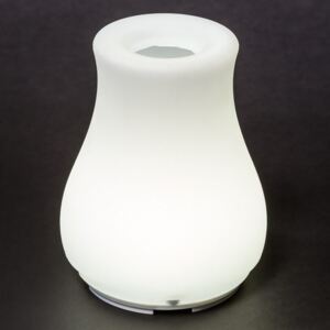 Olio - sorgente luminosa LED e vaso, con comandi