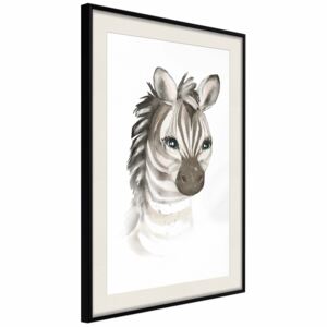 Poster: Little Zebra [Poster]