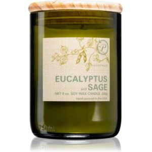Paddywax Eco Green Eucalyptus & Sage candela profumata 226 g