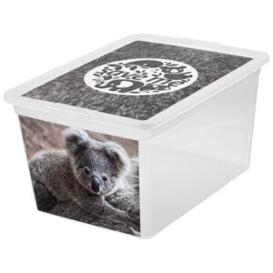 Contenitore X Box Deco koala 15 l BRANQ