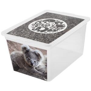 Contenitore X Box Deco koala 30 l BRANQ