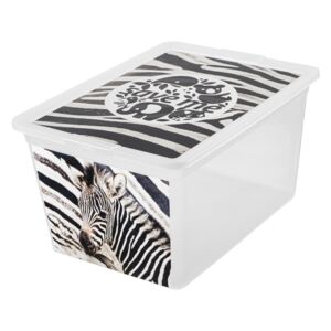 Contenitore X Box Deco zebra 30 l BRANQ