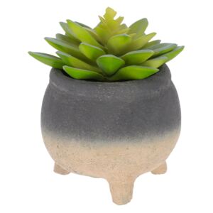 Kave Home - Pianta artificiale Sedum lucidum in vaso in cemento