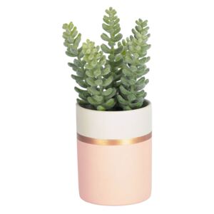 Kave Home - Piante artificiale Sedum lucidum in un vaso da ceramica rosa